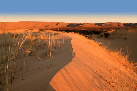 Witsand Nature Reserve